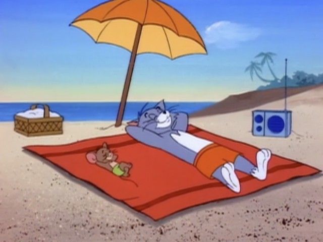 Beach Bully