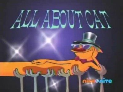 All About Cat