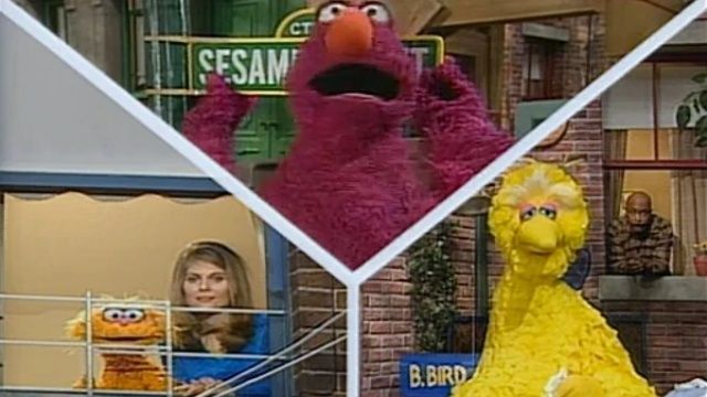 Big Bird and Zoe have colds