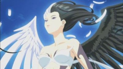 Ah! The One I Yearn for Is a White-Winged Angel!