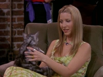 The One with the Cat