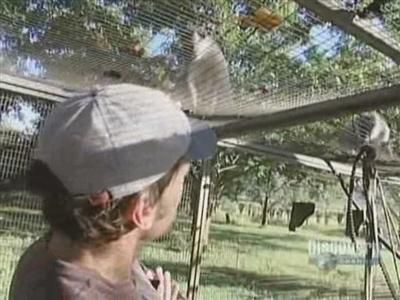 Monkey Caretaker