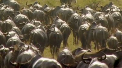 Science of Great Migrations
