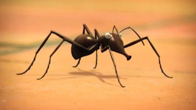 Ants