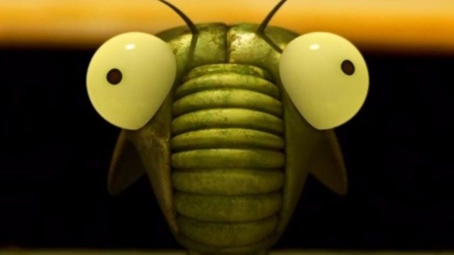 Cicada Do Brazil