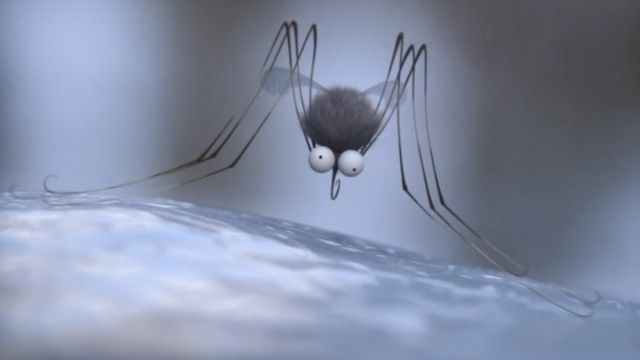 The Mosquito