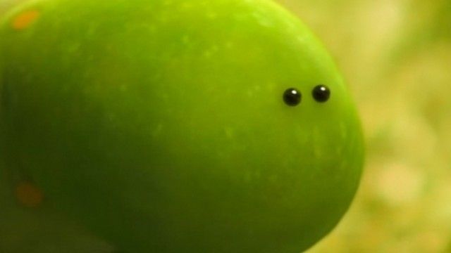 The Caterpillar and the Brook