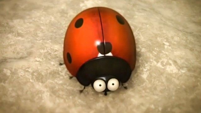 Leech