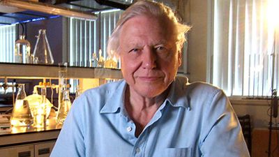 Life on Air: David Attenborough's 50 Years in Television