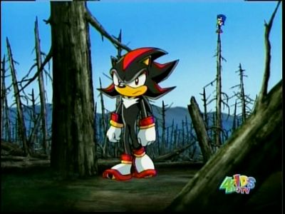 Sonic X  Can Shadow One-up the Metarex with his 900IQ Play? 