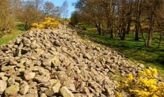 Hamsterley, County Durham - Five Thousand Tons Of Stone