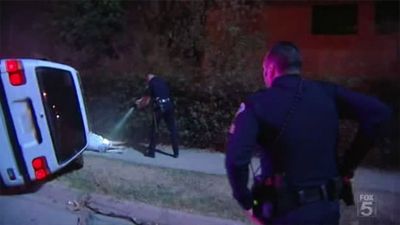 Wild Chases Special Edition