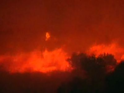 Tout feu, tout flamme (les feux de forêt)