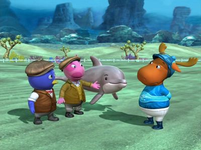 The Great Dolphin Race
