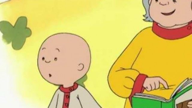 Caillou's Summer Goodnight