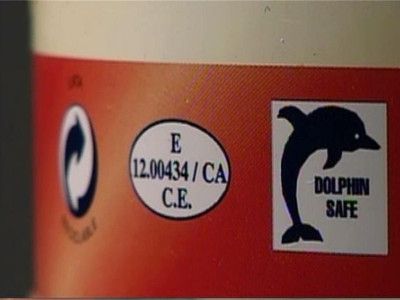 Dolfijnvriendelijk