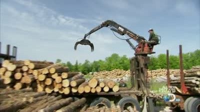 Cedar Log Peeler