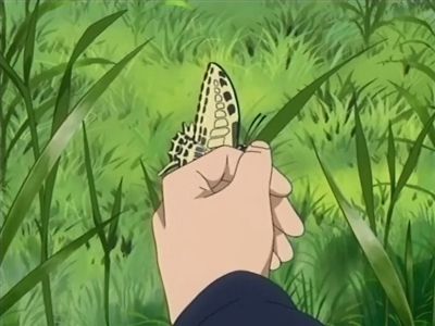 Anxiety of the Swallowtail Butterfly