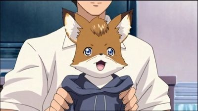 Oinari-sama. Embracing a Young Fox