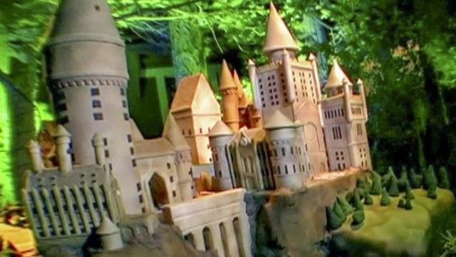 The Harry Potter Cake