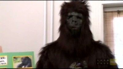 Who Can Wear a Gorilla Suit the Longest?