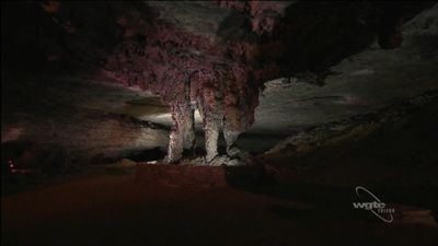Mammoth Cave: A Way to Wonder