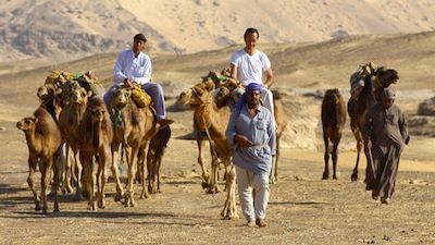 Secrets of the Arabian Nights