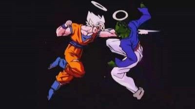 Goku vs. Pikkon