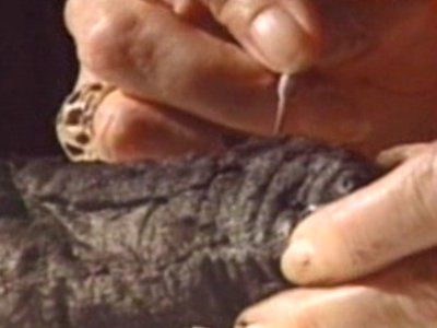 Out of the Ashes: Recovering The Lost Library of Herculaneum