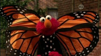 Elmo and the Monarch Butterfly