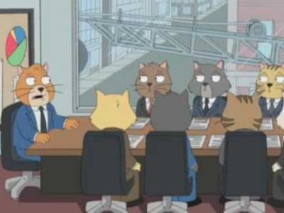 Cat Staff Meeting