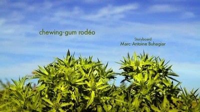 chewing-gum rodeo