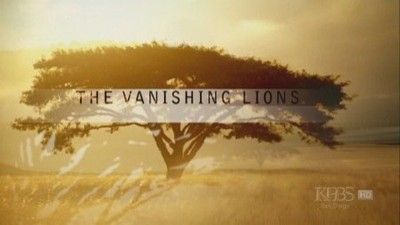 The Vanishing Lions