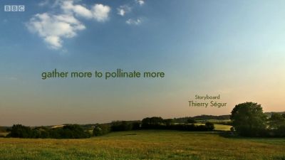 gather more to pollinate more