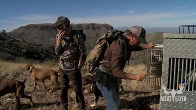 The Fair Chase: Arizona Mountain Lion