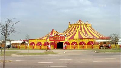 Circus Borelli