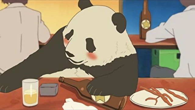 Panda's Apology! / Rin Rin Welcomed