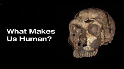 What Makes Us Human?