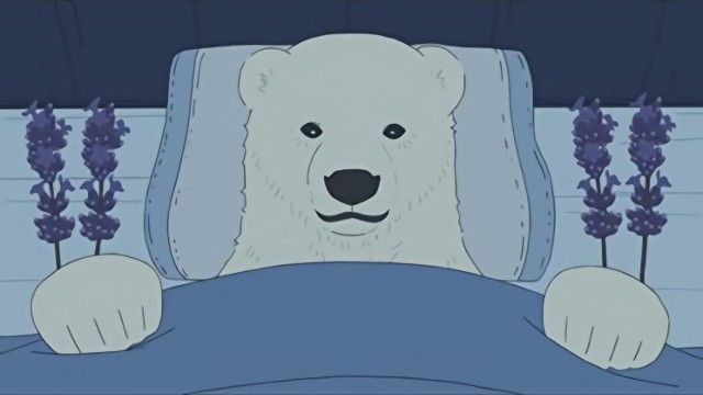 Polar Bear's Insomnia / Mr Grizzly