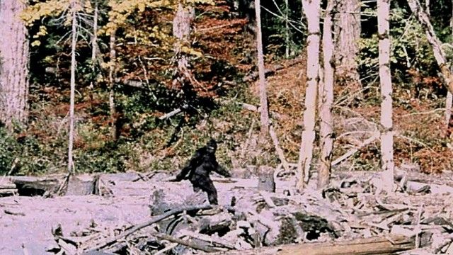 Bigfoot