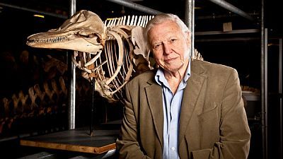 Attenborough's Life Stories: Understanding the Natural World