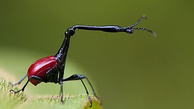 Metamorphosis - The Science of Change