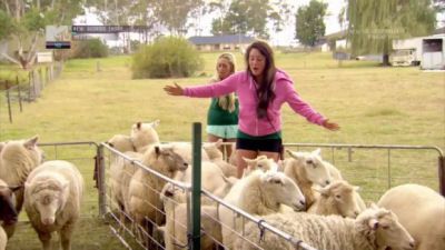 Geordie shore season discount 6 episode 8