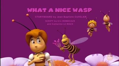 What a Nice Wasp