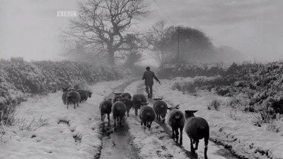 James Ravilious: A World in Photographs