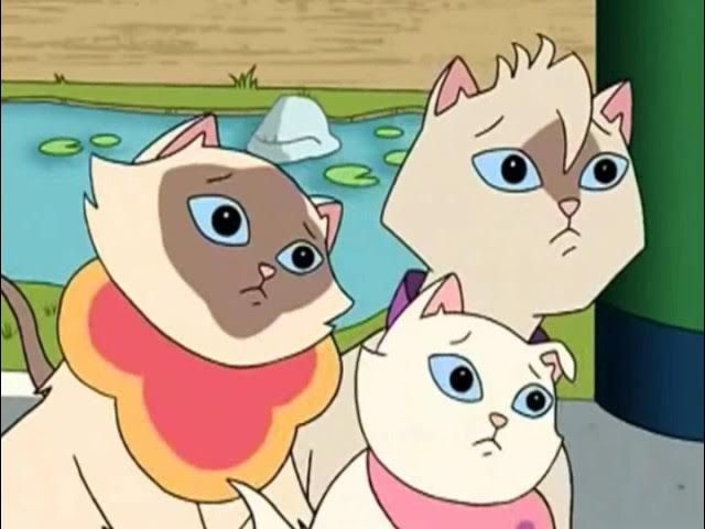 Treasure Hunters / By the Light of the Moon