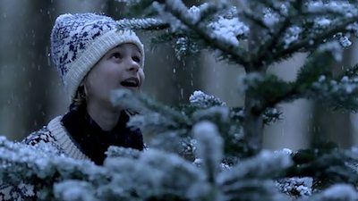 The Fir Tree