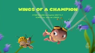 Wings of a Champion
