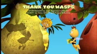 Thank You Wasps