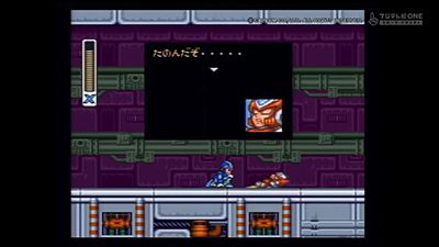 Mega Man X (2)